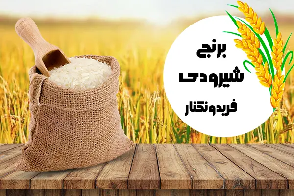 شیرودی فریدونکنار 65409499