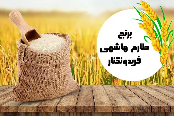 طارم هاشمی فریدونکنار 648094949